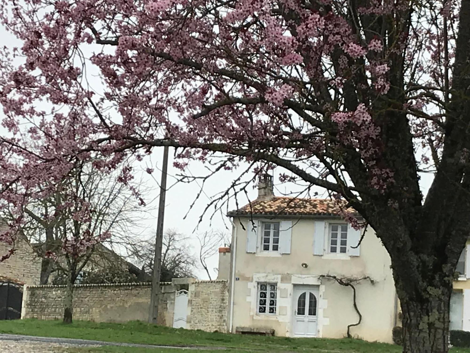La Maison De Josephine Montignac-Charente Esterno foto